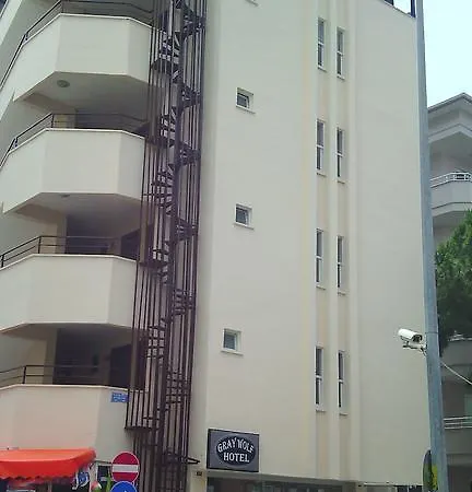 Gray Wolf Αλάνια