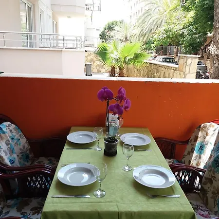 Gray Wolf Oda ve Kahvaltı Alanya