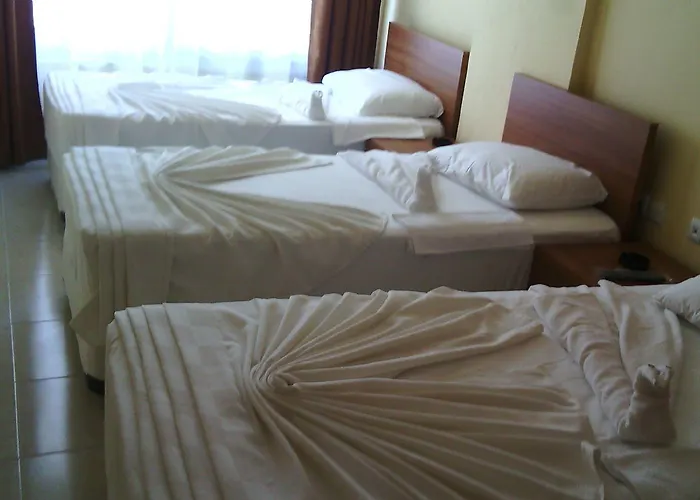 Gray Wolf Bed & Breakfast