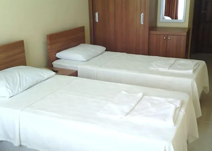 Bed & Breakfast Gray Wolf