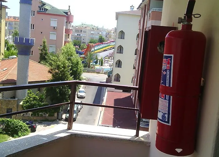 Gray Wolf 阿拉尼亚