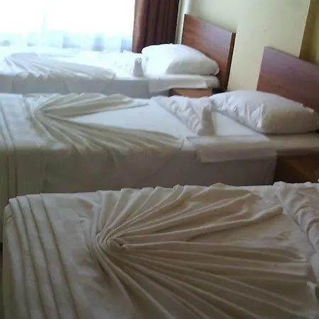 Gray Wolf Bed and breakfast Alanya